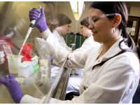 ISO 22000 Food Safety Certification