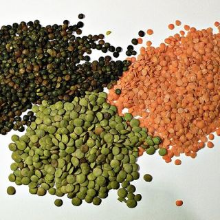 Red Lentils, Polished